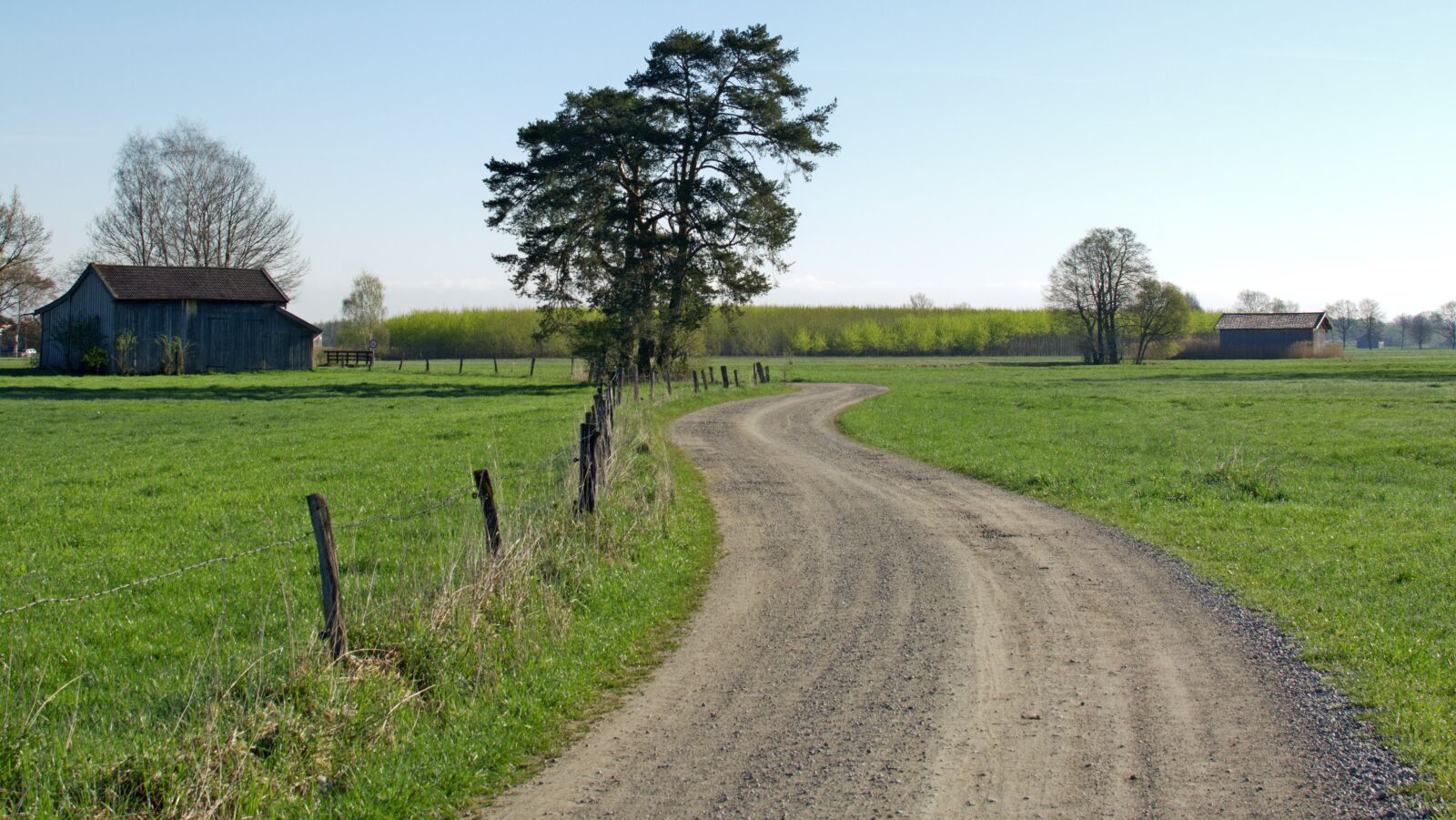Nikon D7100 sample photo. Road, lane, away photography