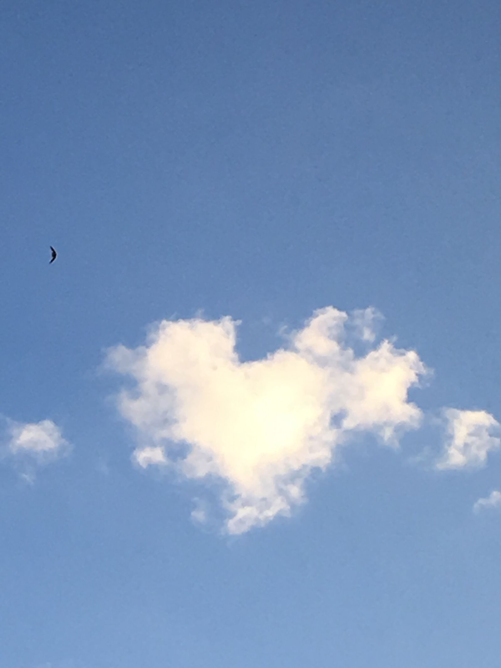 Apple iPhone 6s sample photo. Heart, sky, blue photography