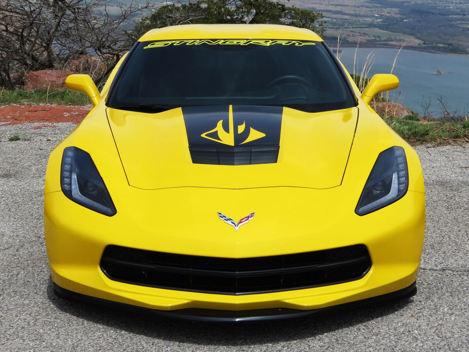 Canon PowerShot SX40 HS sample photo. Corvette, stingray, automobile photography