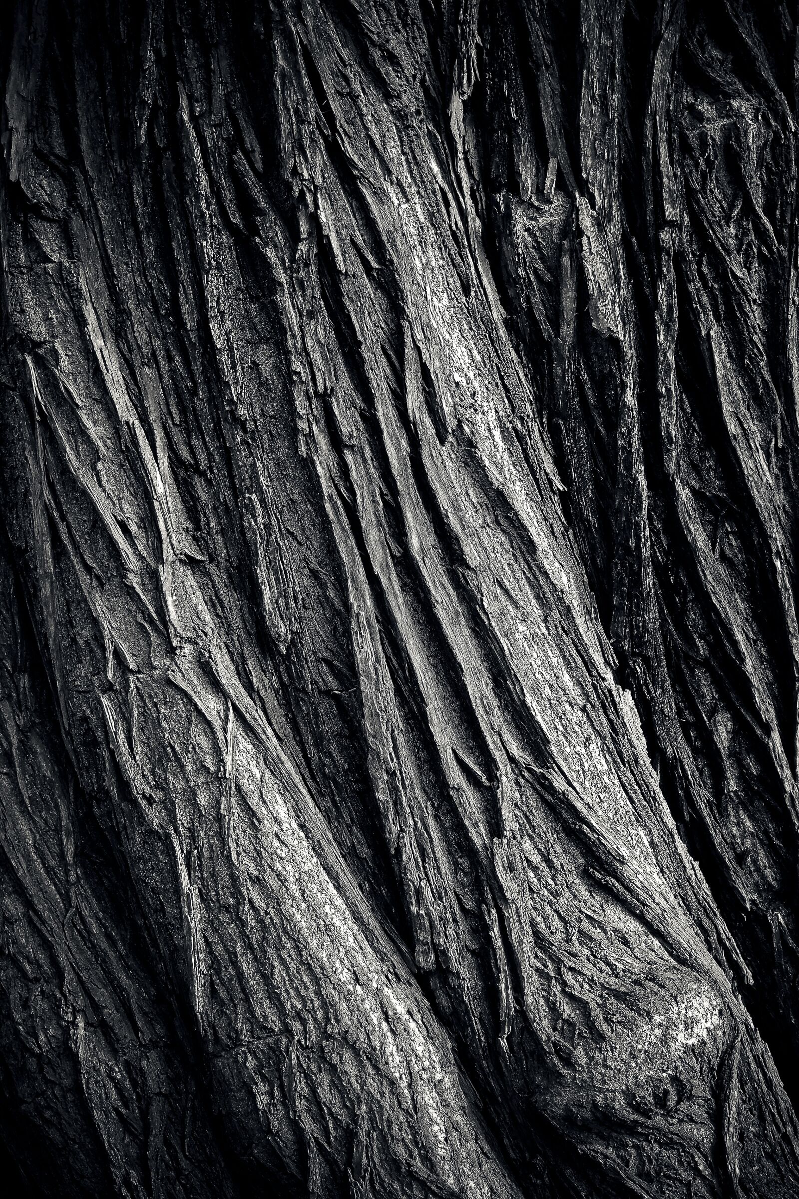 Olympus OM-D E-M10 sample photo. Tree, tree bark, log photography