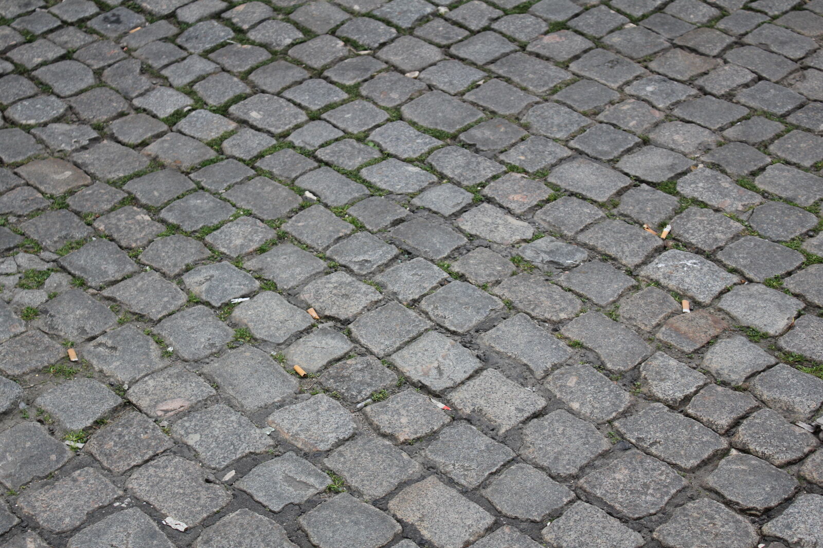Canon EOS 550D (EOS Rebel T2i / EOS Kiss X4) sample photo. Cigarette, butt, cobblestone, street photography