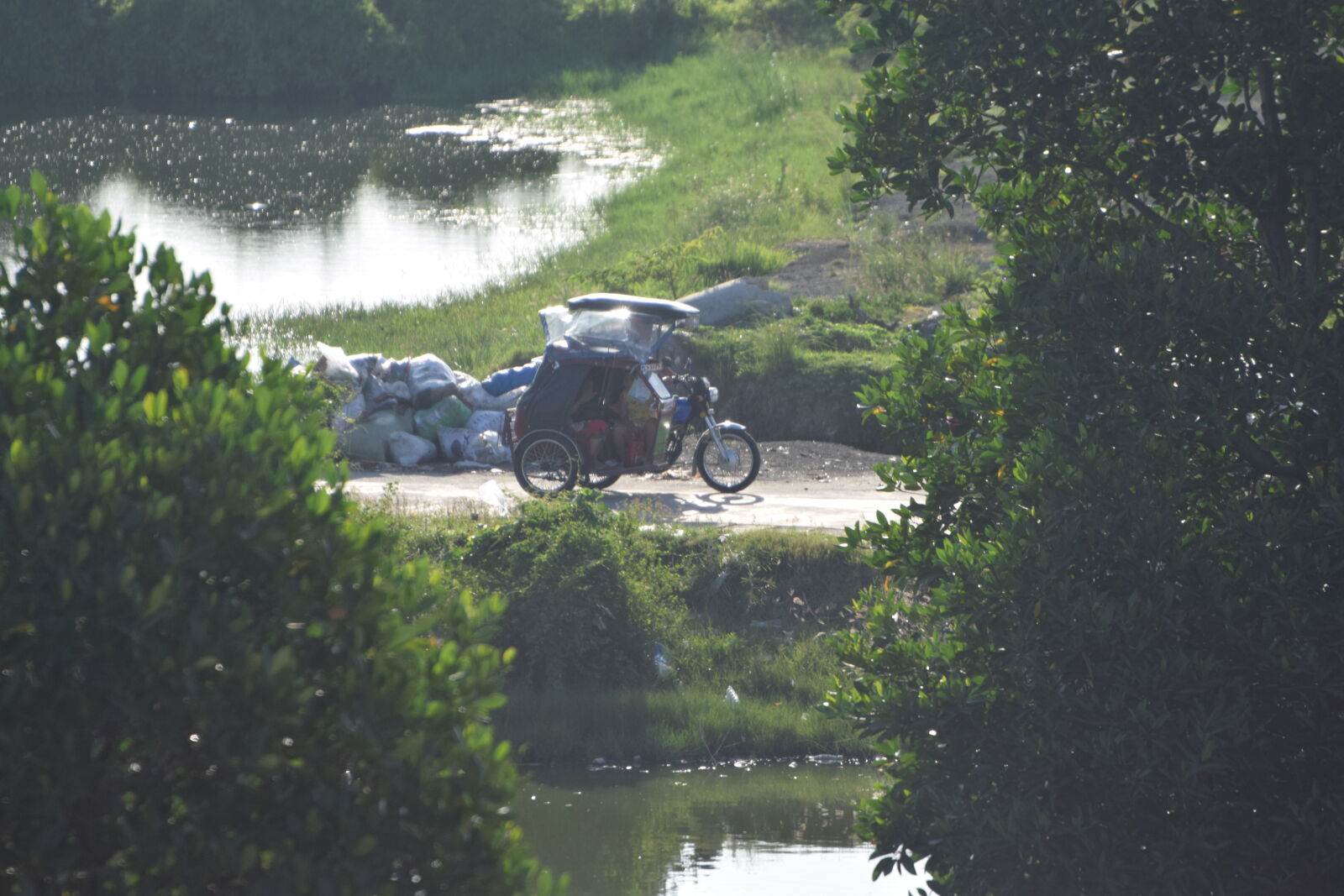 Nikon D3300 sample photo