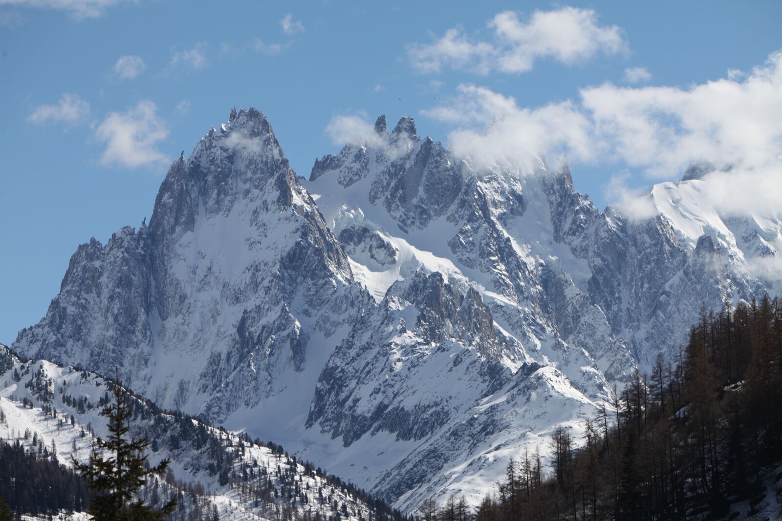 Canon EOS 5D Mark II sample photo. Mountain, snow, needles photography