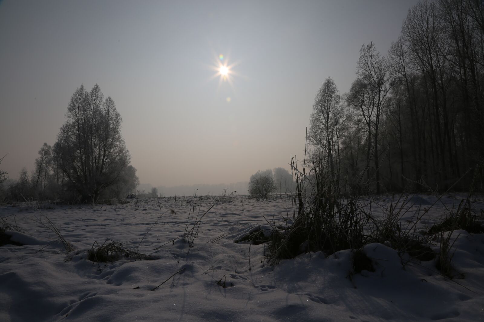 Canon EF 24-105mm F4L IS USM sample photo. Snow, mystical, winter photography
