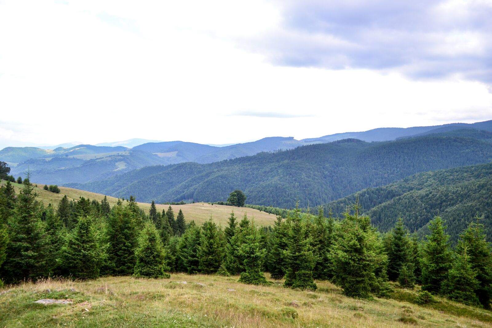 Nikon D3100 sample photo. Mountain, landscape, trees photography