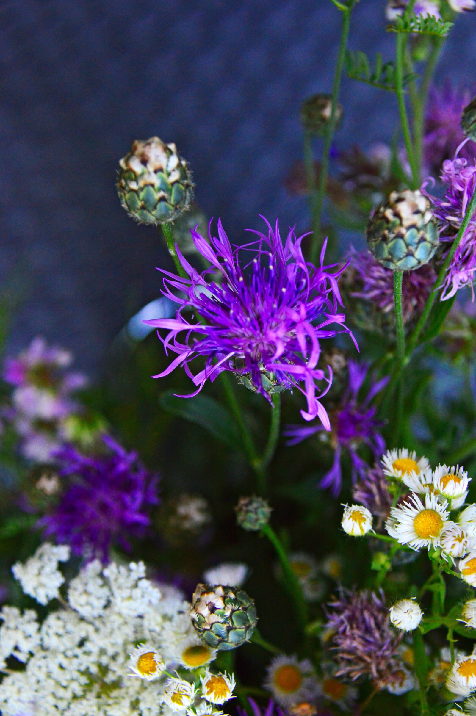 Nikon D3200 sample photo. Color, bouquet, summer flowers photography
