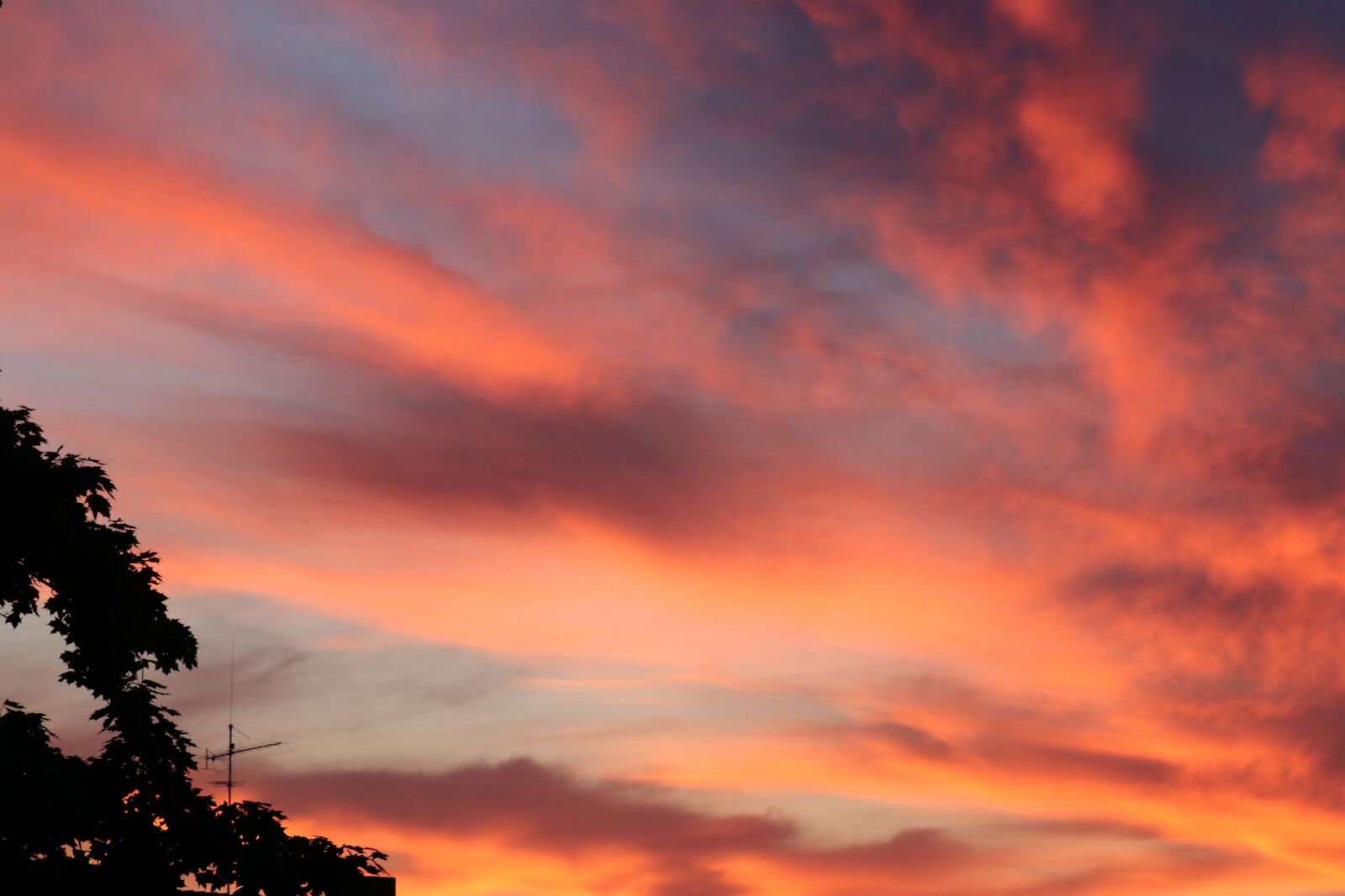 Canon EF-S 18-135mm F3.5-5.6 IS USM sample photo. Sky, sunset, red photography