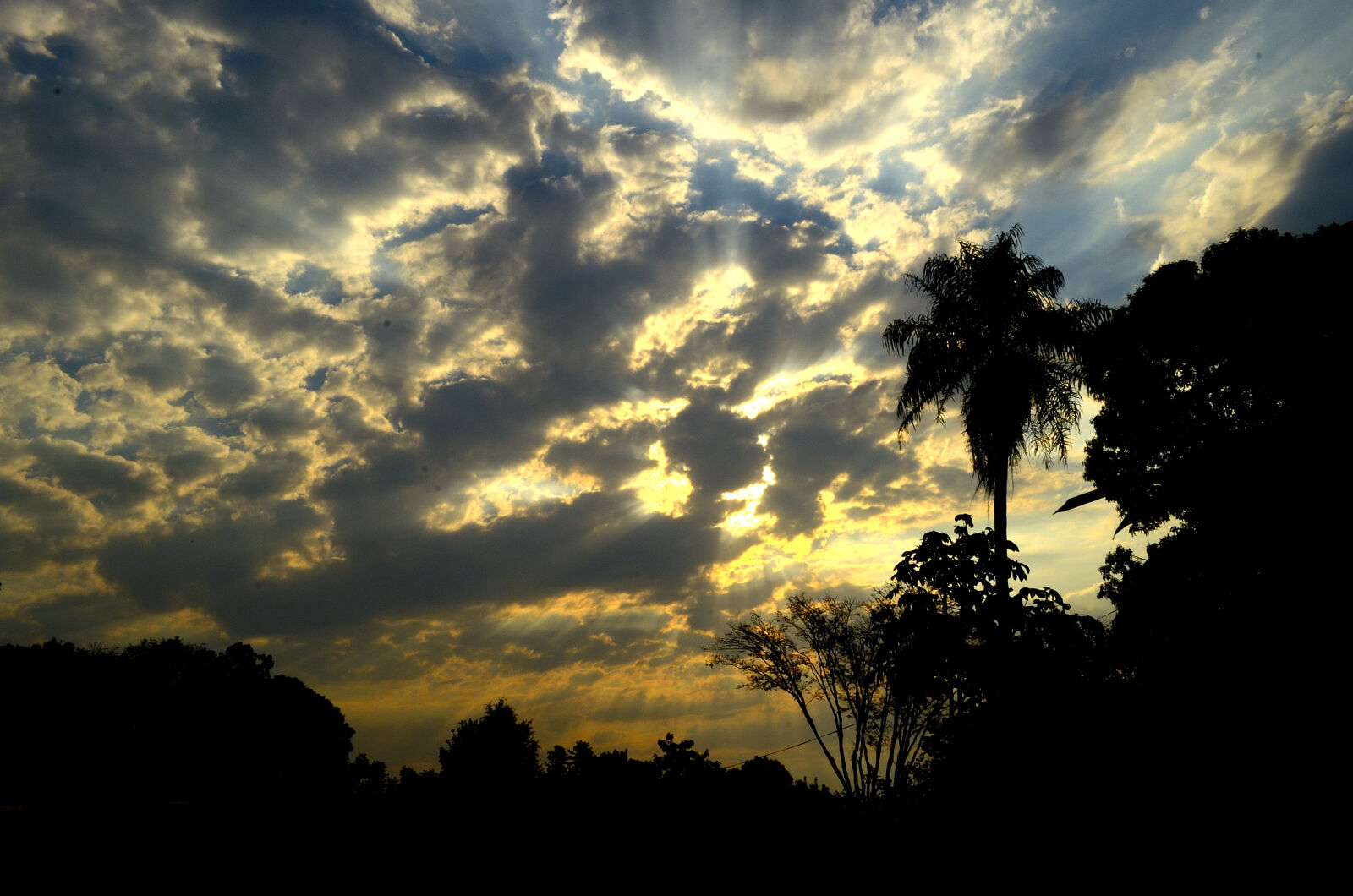 Nikon D5100 sample photo