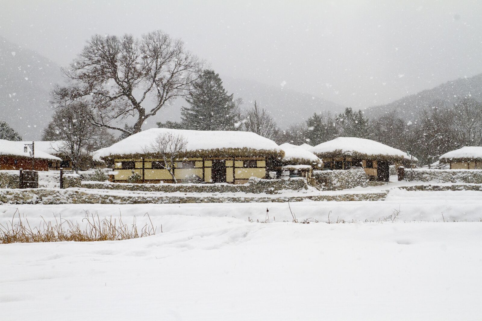 Canon EOS 7D sample photo. Heavy snow, winter, snowfall photography
