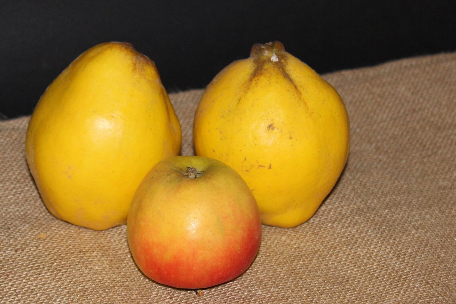 Canon EOS 600D (Rebel EOS T3i / EOS Kiss X5) sample photo. Quince, pear quince, yellow photography