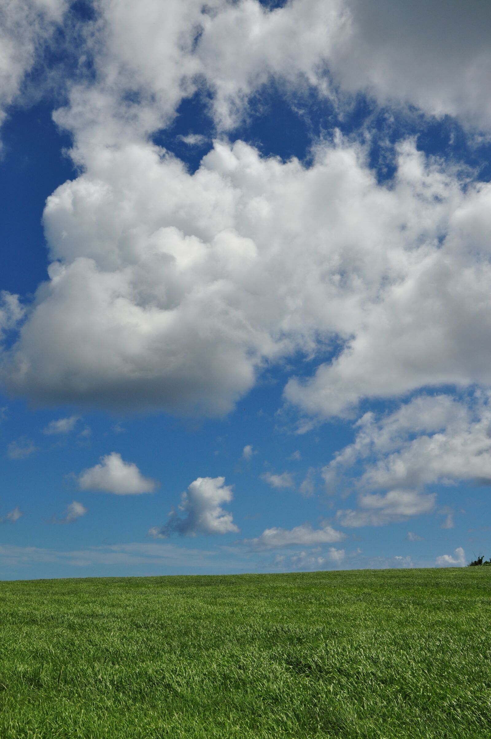 Nikon D90 sample photo. Miyako island, blue, sky photography