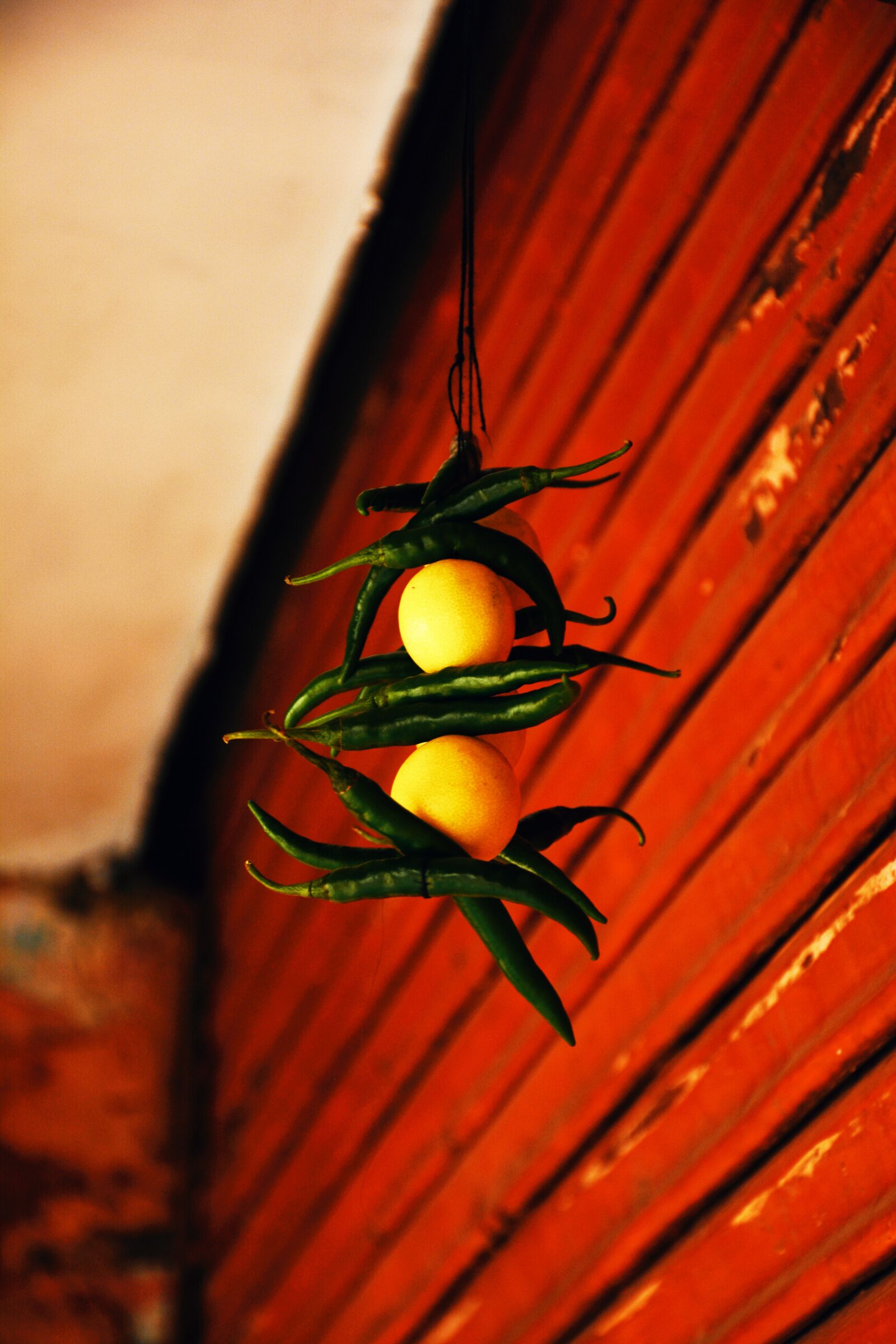 Nikon D5200 sample photo. Indian, culture, dreamcatcher photography