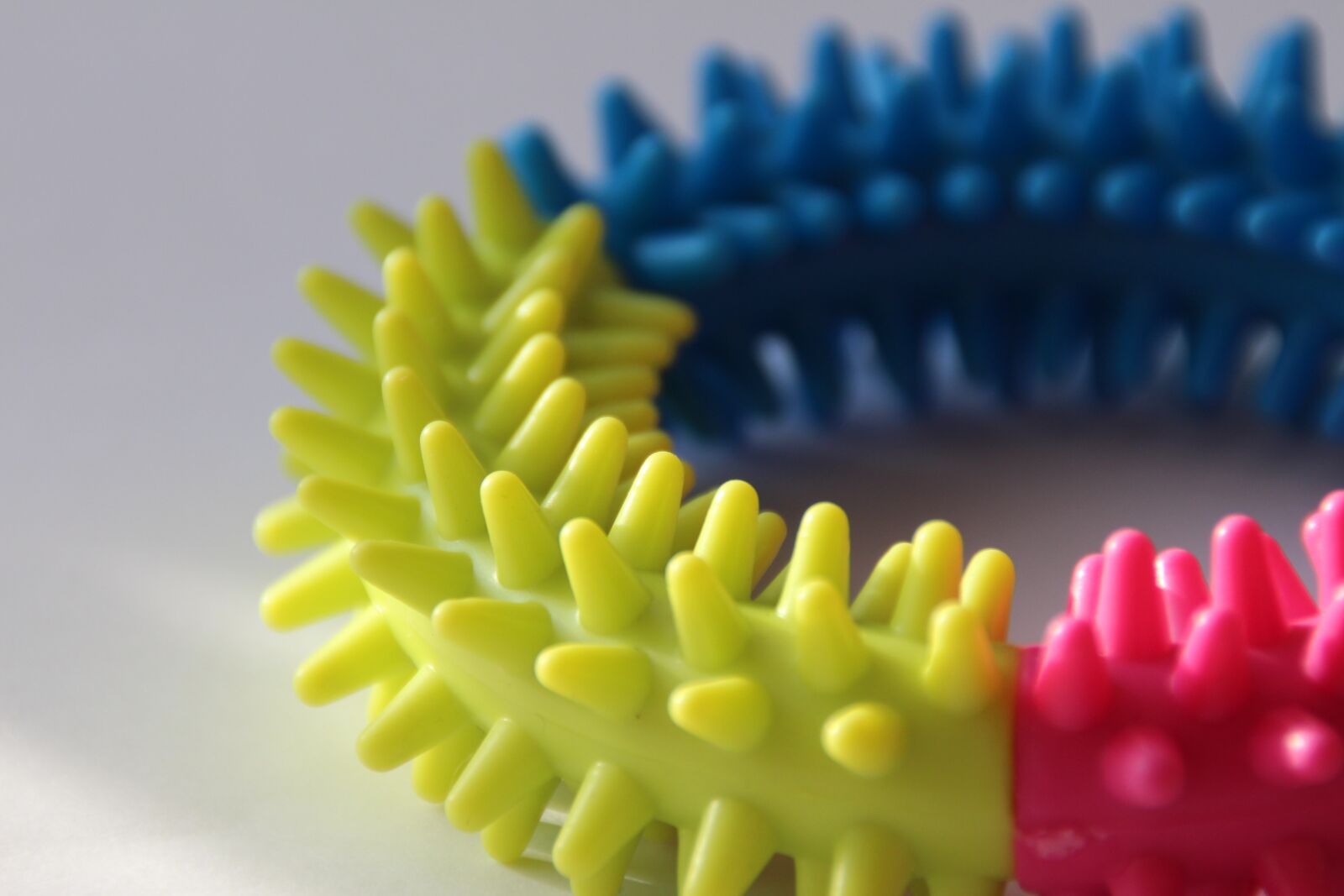 Canon EOS 700D (EOS Rebel T5i / EOS Kiss X7i) sample photo. Toy, dog, gum photography