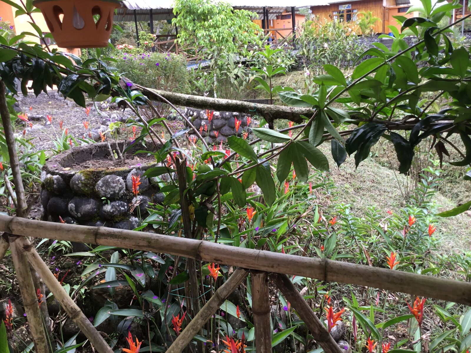 Apple iPad (5th generation) sample photo. Selva, amazonas, lounge photography