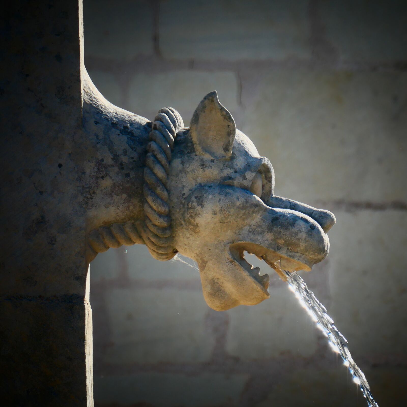 Panasonic DC-TZ200 sample photo. Fountain, lion, water photography