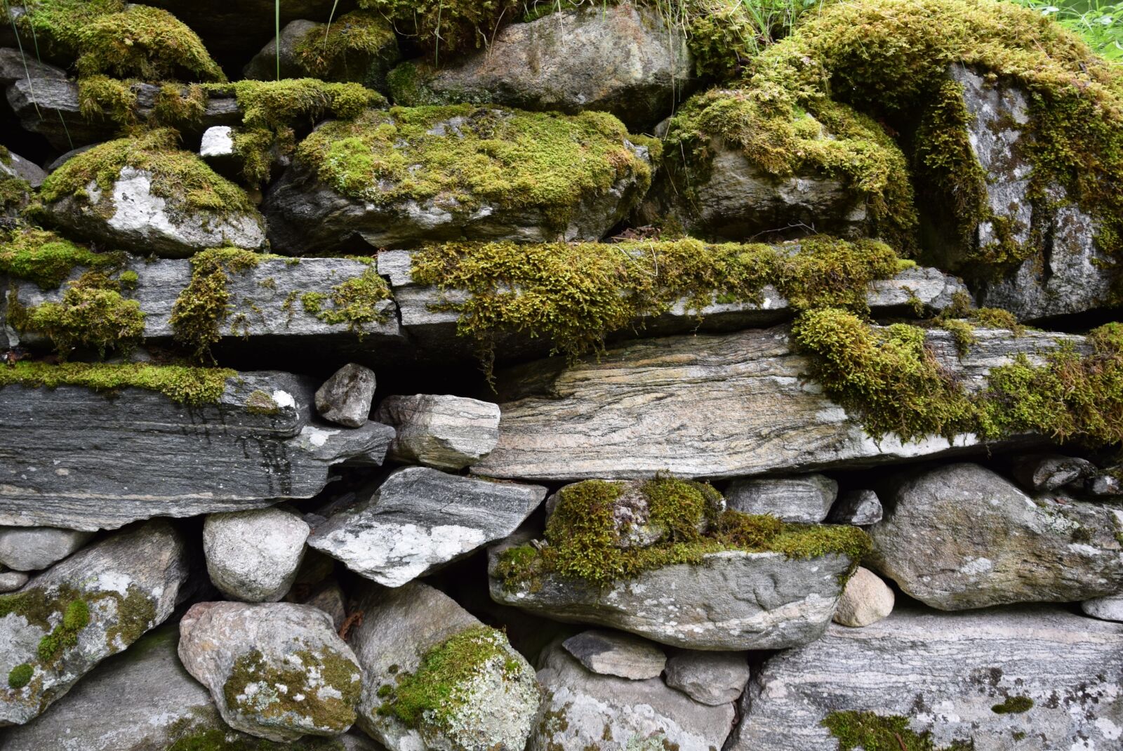Nikon D3300 sample photo. Stones, stone wall, wall photography