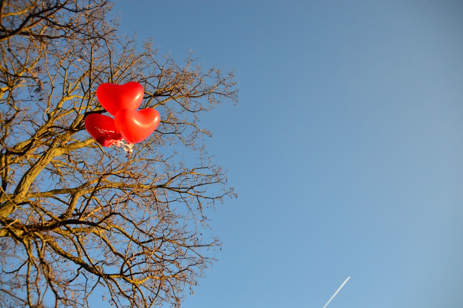 Nikon D3200 sample photo. Sky, blue, romantic photography