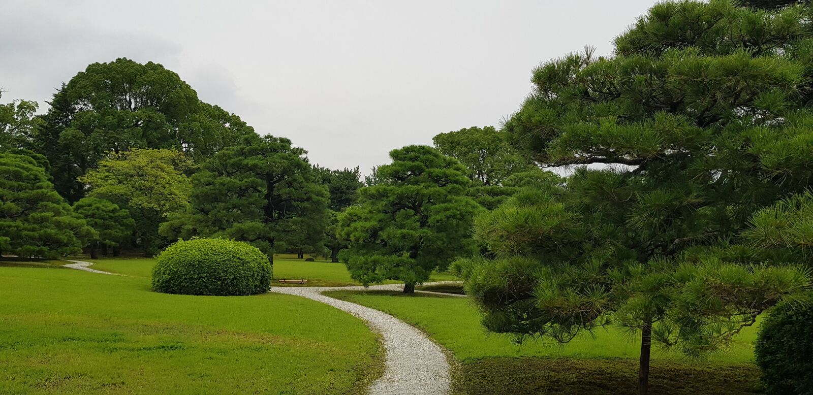 Samsung Galaxy S8 sample photo. Park, tokyo, japan photography