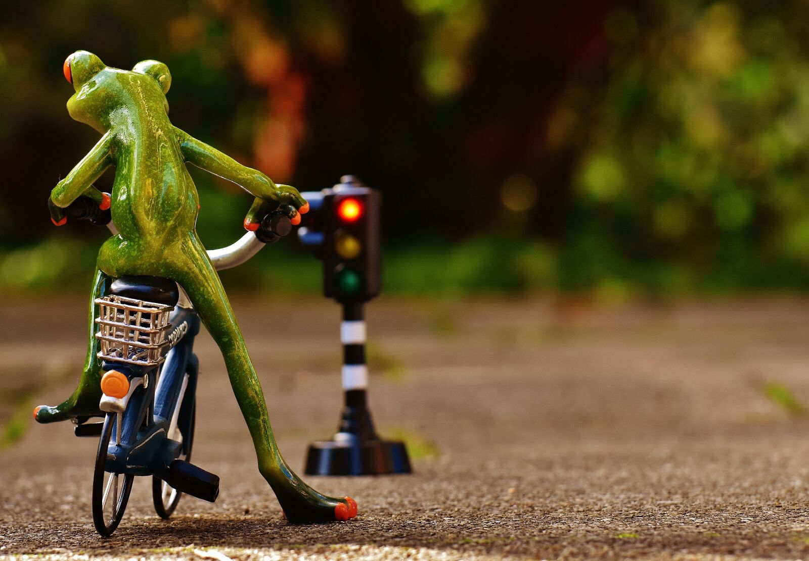 Nikon D7200 sample photo. Frog, figure, bike photography