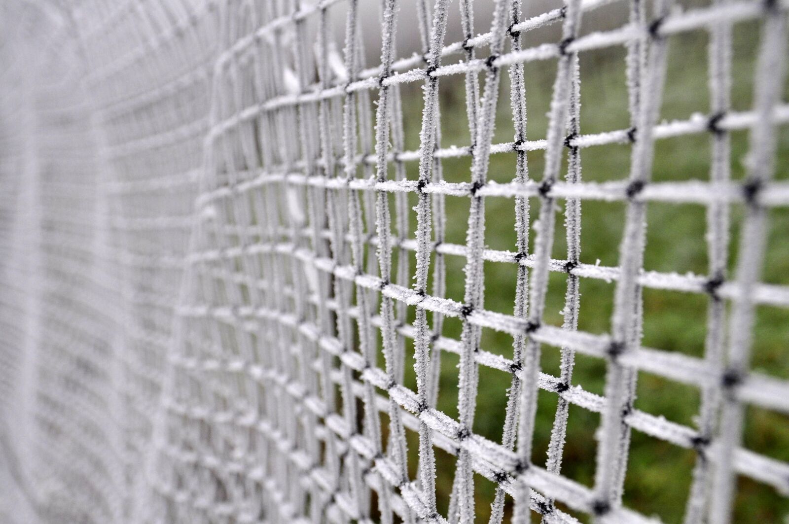 Nikon D5000 sample photo. Fencing, nature, icing photography