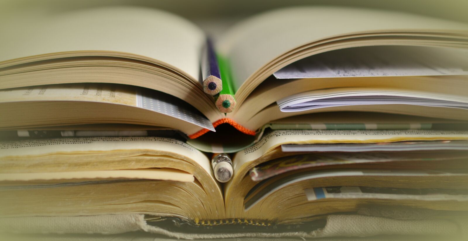 Nikon D5200 sample photo. Books, study, literature photography