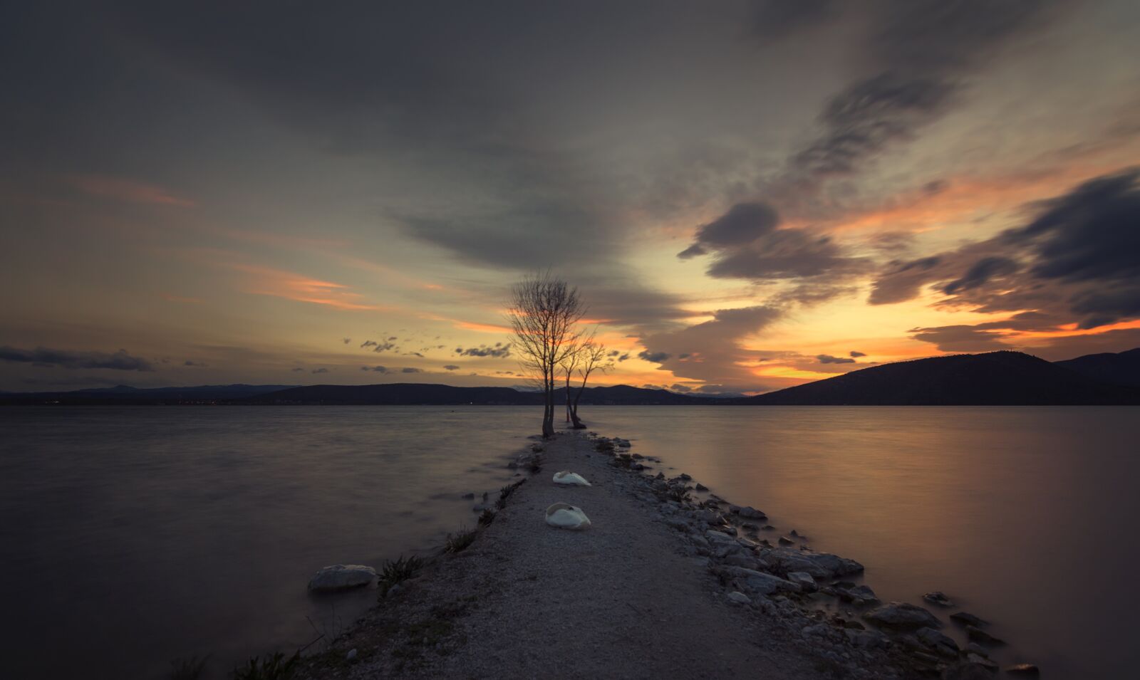Tokina AT-X Pro 11-16mm F2.8 DX II sample photo. Tree, lake, long exposure photography