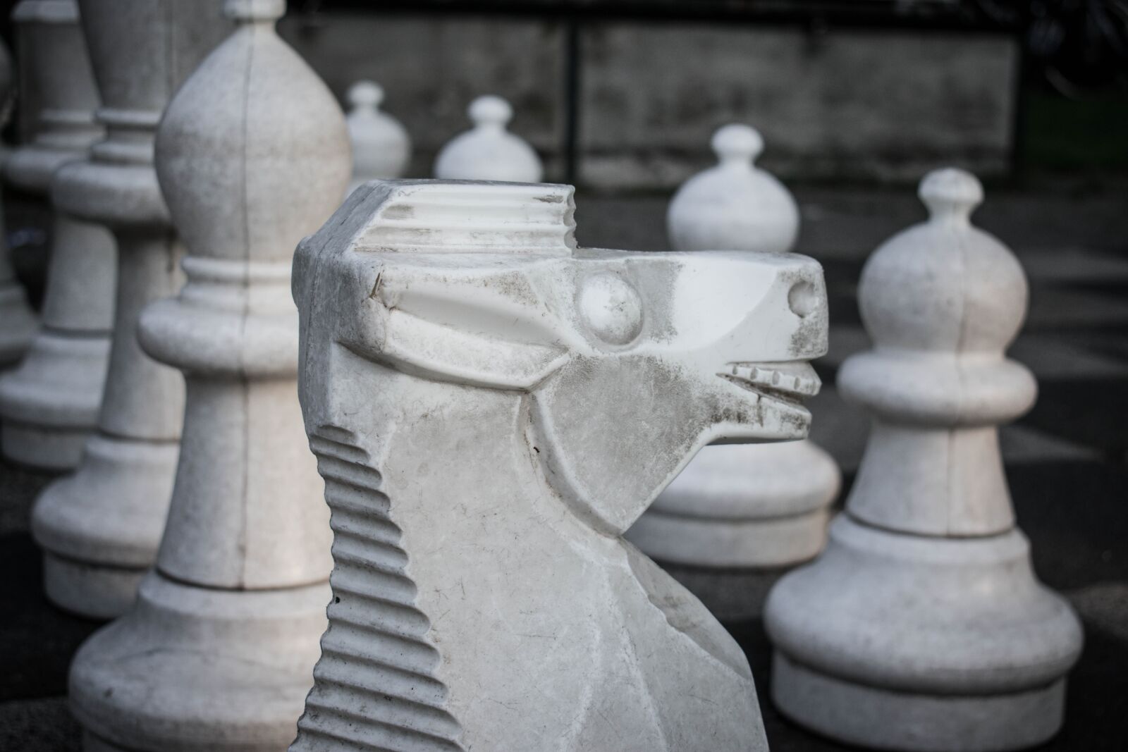 Nikon D3400 sample photo. Horse, chess, chess piece photography