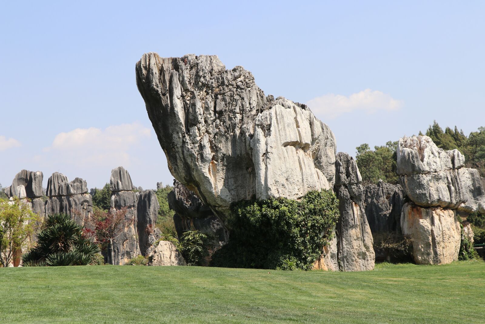 Canon EF-S 18-135mm F3.5-5.6 IS USM sample photo. Stone forest, stone, tree photography