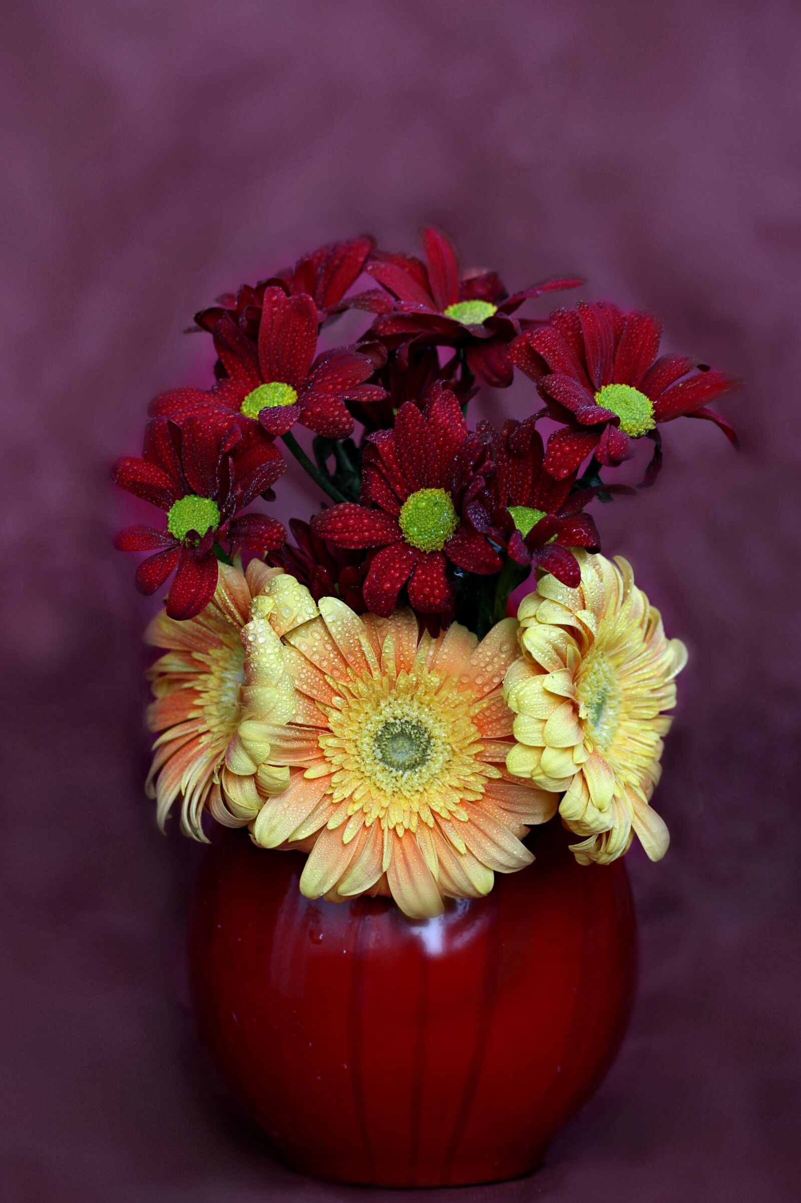 Canon EF-S 60mm F2.8 Macro USM sample photo. Flowers, vase, gerbera photography