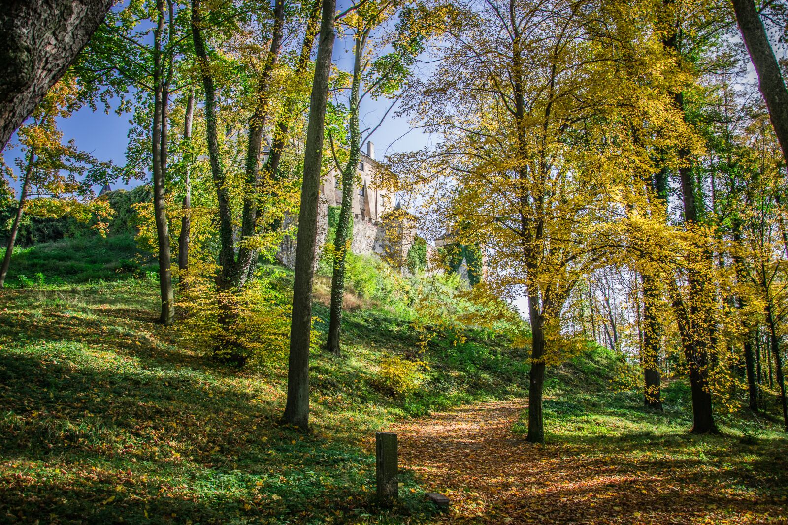 Nikon D5300 sample photo. Autumn, podhradí, park photography