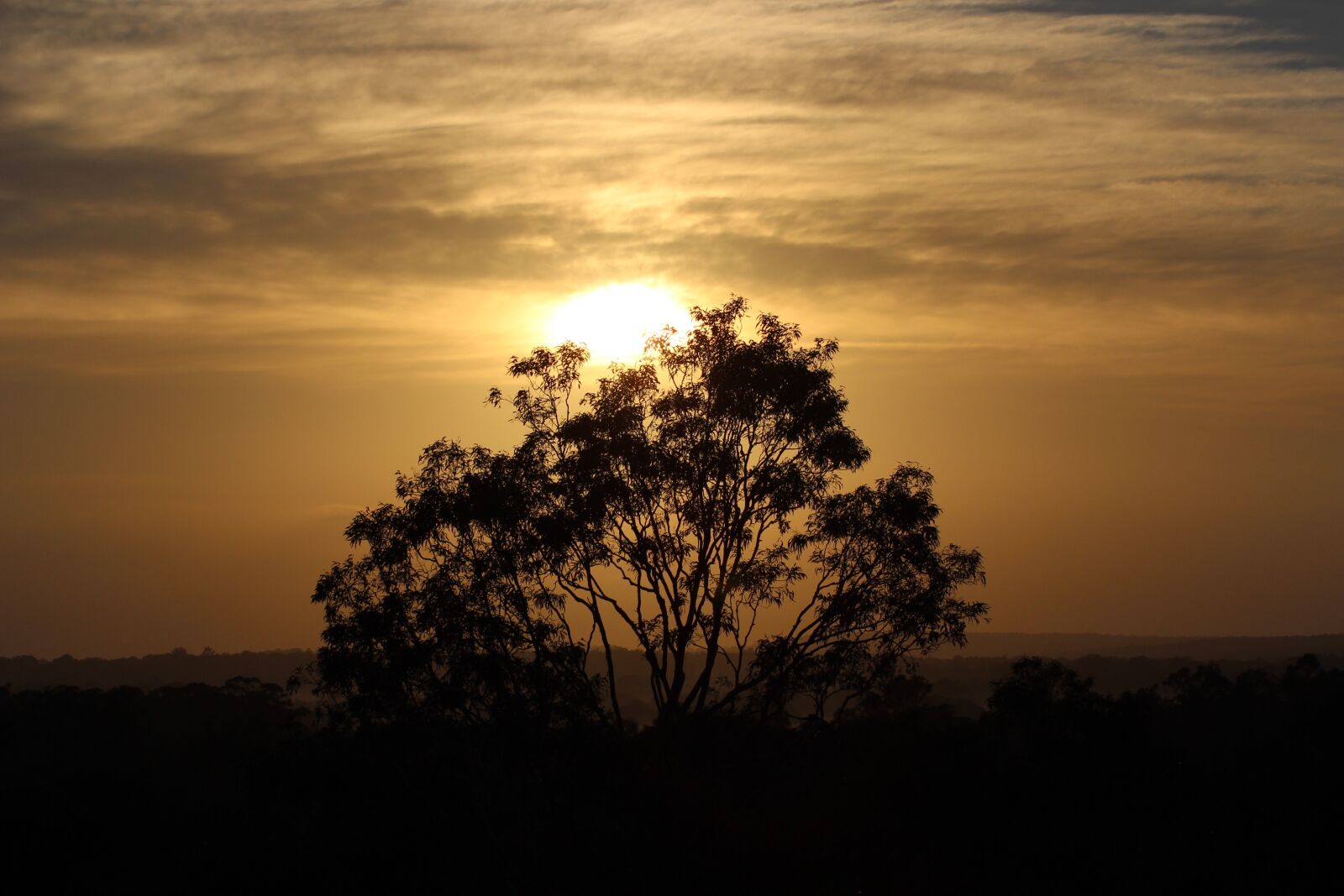 Canon EOS 600D (Rebel EOS T3i / EOS Kiss X5) sample photo. Hunter valley, australia, sunrise photography