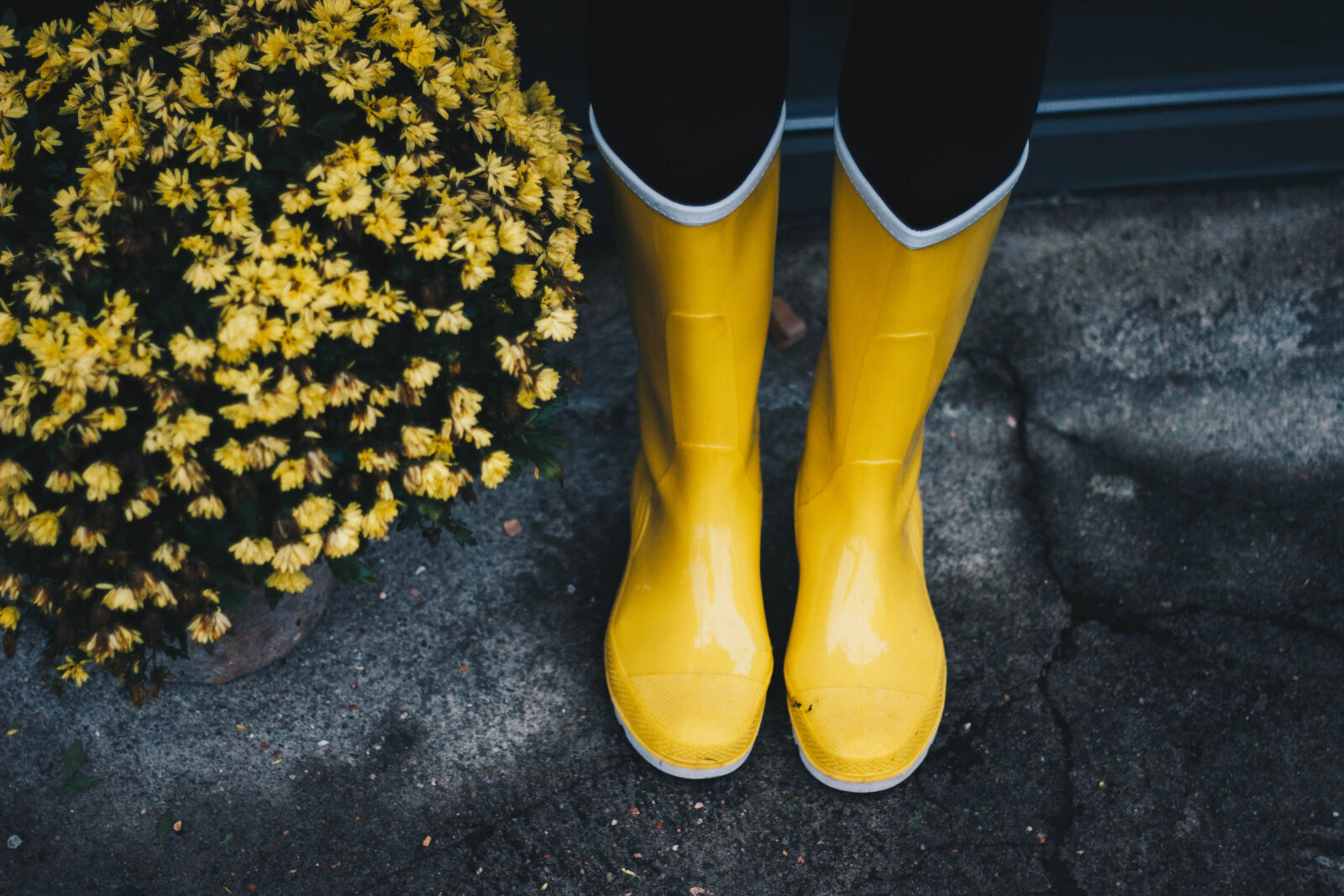 Canon EF 50mm F1.8 II sample photo. Photo, of, yellow, boots photography