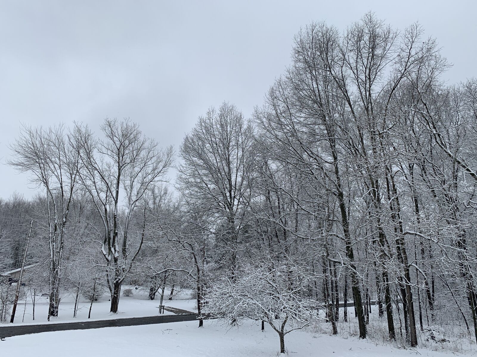 iPhone XS Max back dual camera 4.25mm f/1.8 sample photo. Winter, snow, cold photography