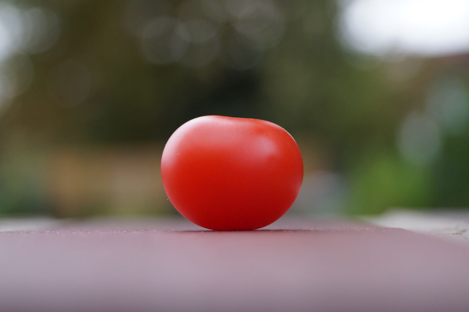 Sony DT 18-55mm F3.5-5.6 SAM II sample photo. Tomato, macro, vegetables photography