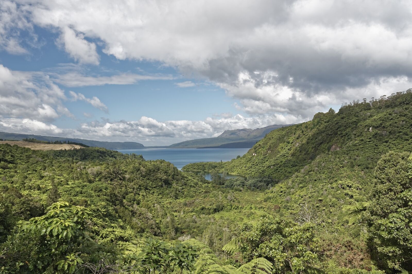 Nikon D500 sample photo. New zealand, lake tarawera photography