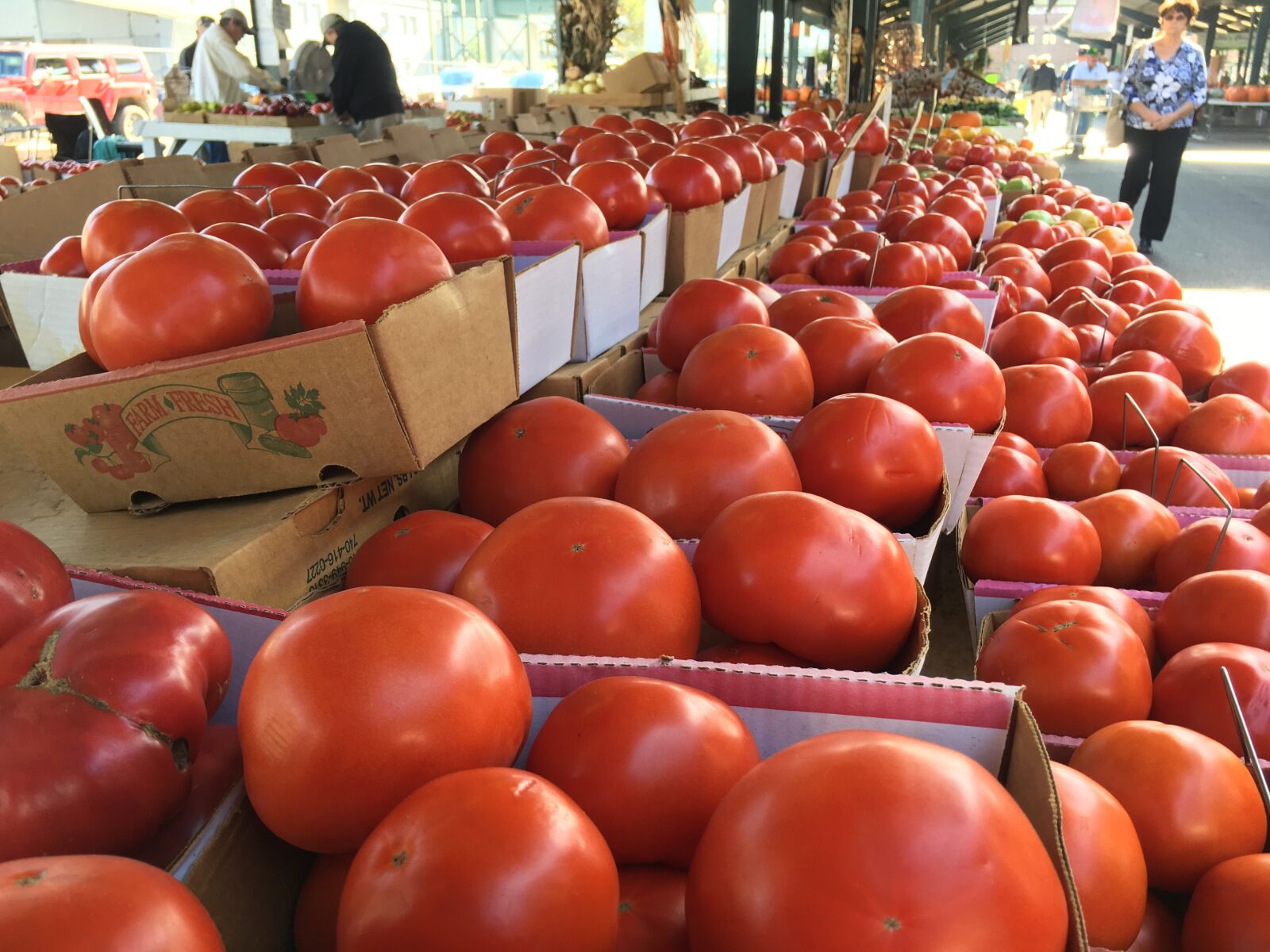iPhone 6s back camera 4.15mm f/2.2 sample photo. Farm, produce, tomato photography
