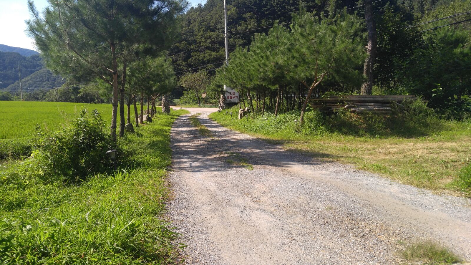 LG V10 sample photo. Forest, gil, country photography