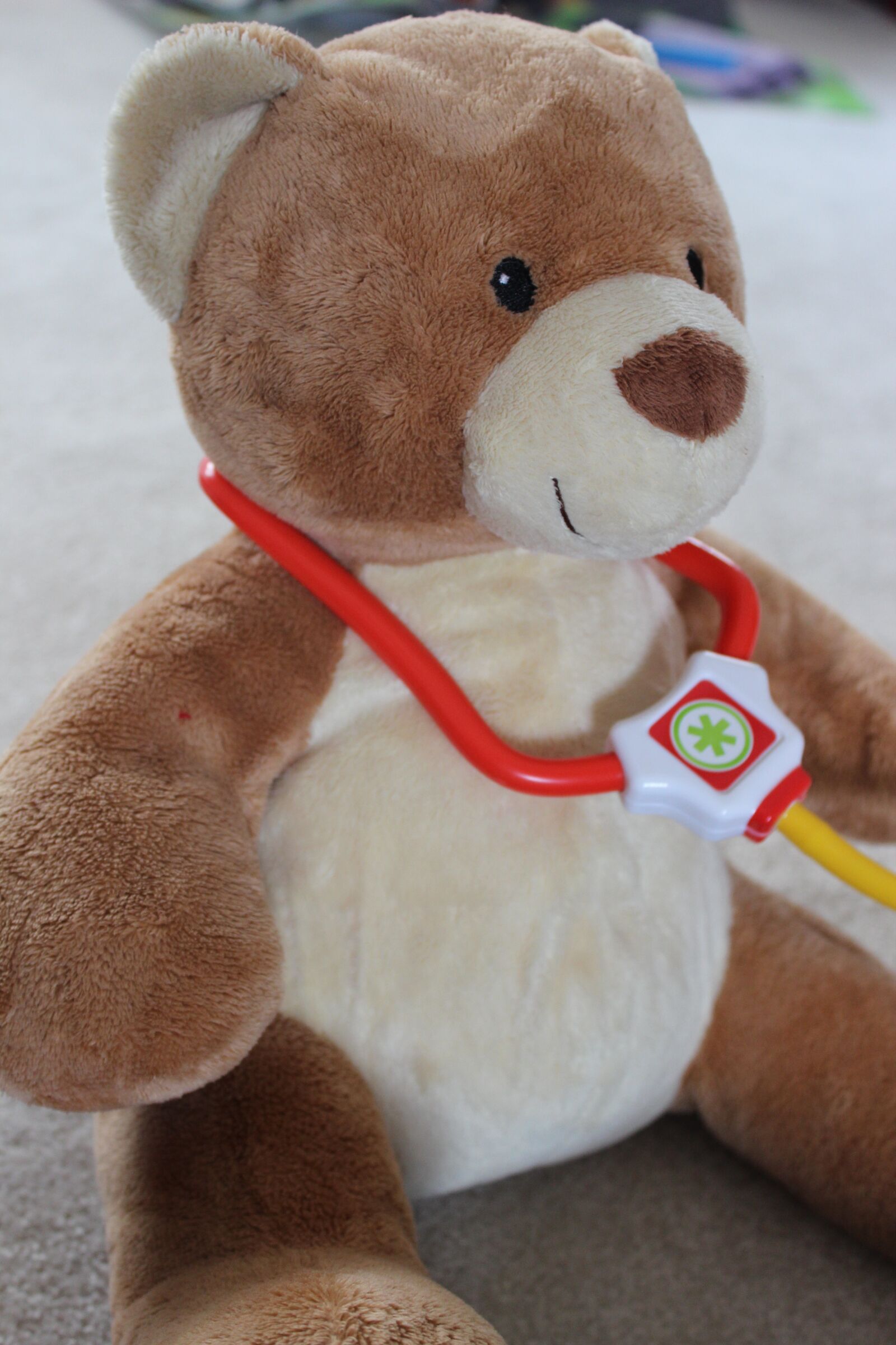 Canon EOS 600D (Rebel EOS T3i / EOS Kiss X5) sample photo. Bear, doctor, profession photography
