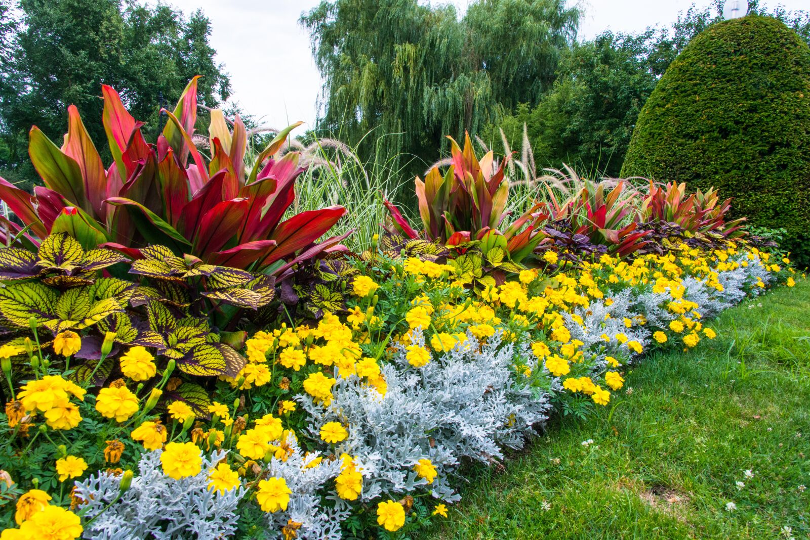 Nikon D800 sample photo. Flowers, garden, blooming photography