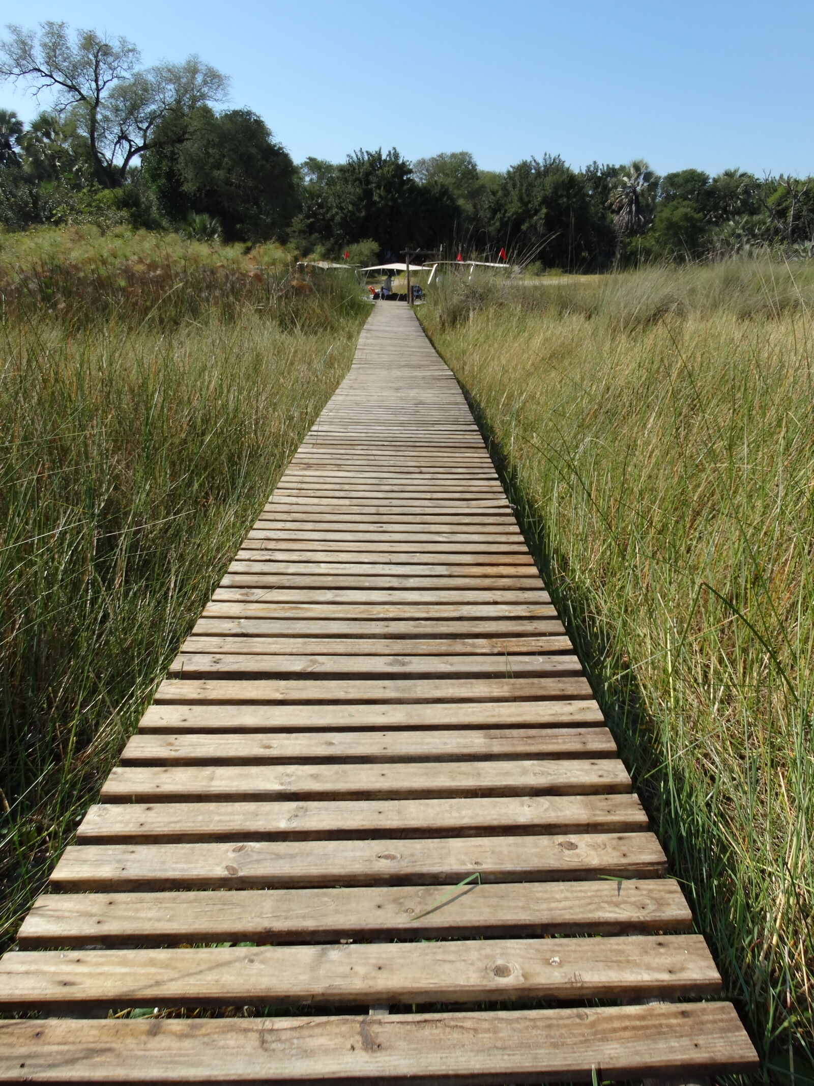 Sony Cyber-shot DSC-HX300 sample photo. Botswana, okawango, delta photography