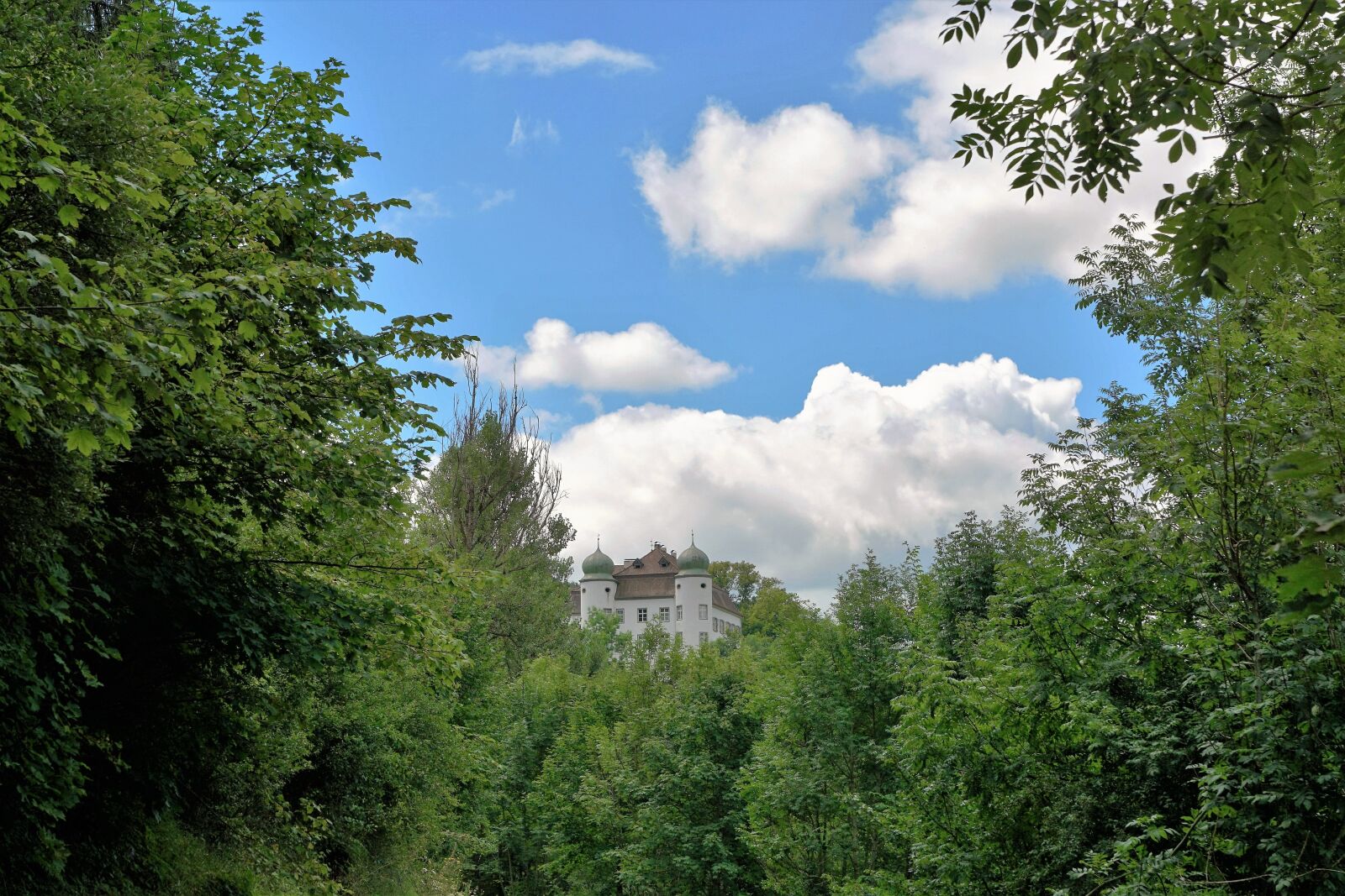 Sony ILCA-77M2 + Sony DT 16-50mm F2.8 SSM sample photo. Castle, fairy tales, village photography