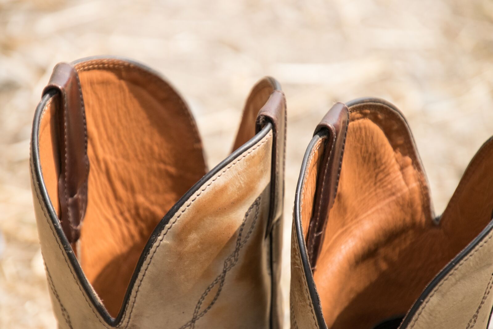 Nikon D3300 sample photo. Boots, western, ride photography