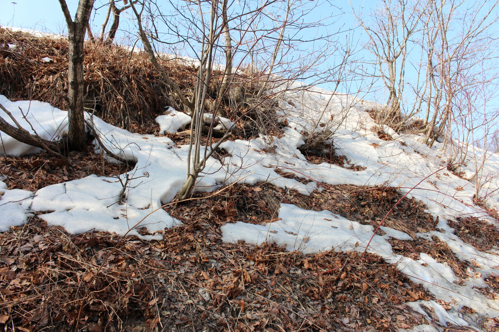 Canon EOS 700D (EOS Rebel T5i / EOS Kiss X7i) sample photo. Hill, korea, snow, winter photography