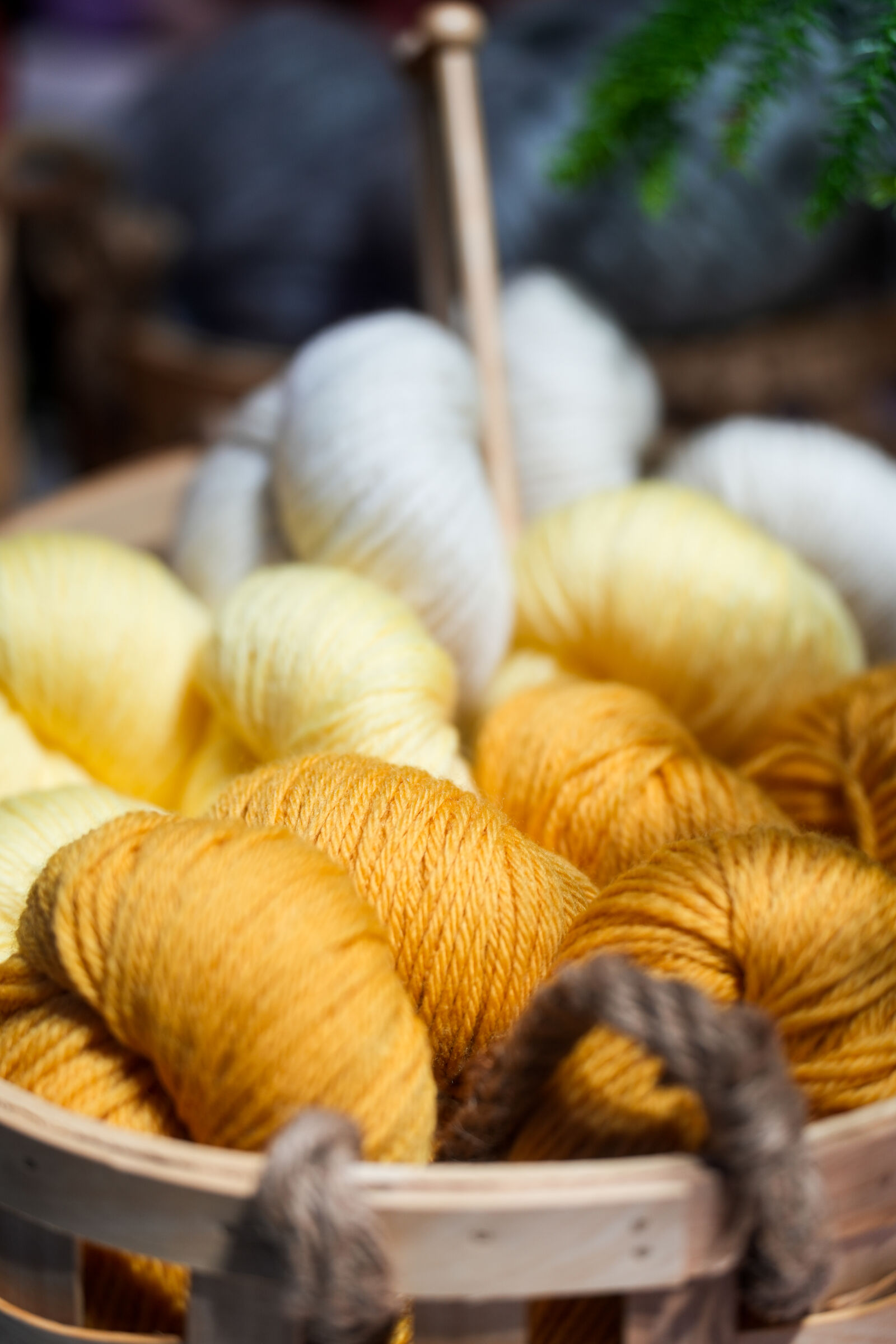Sony a7 IV sample photo. Wool shopping photography