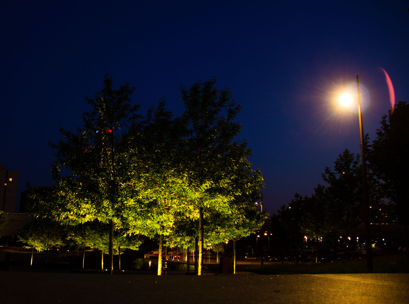 Canon EOS 600D (Rebel EOS T3i / EOS Kiss X5) sample photo. Lantern, light, night, tree photography
