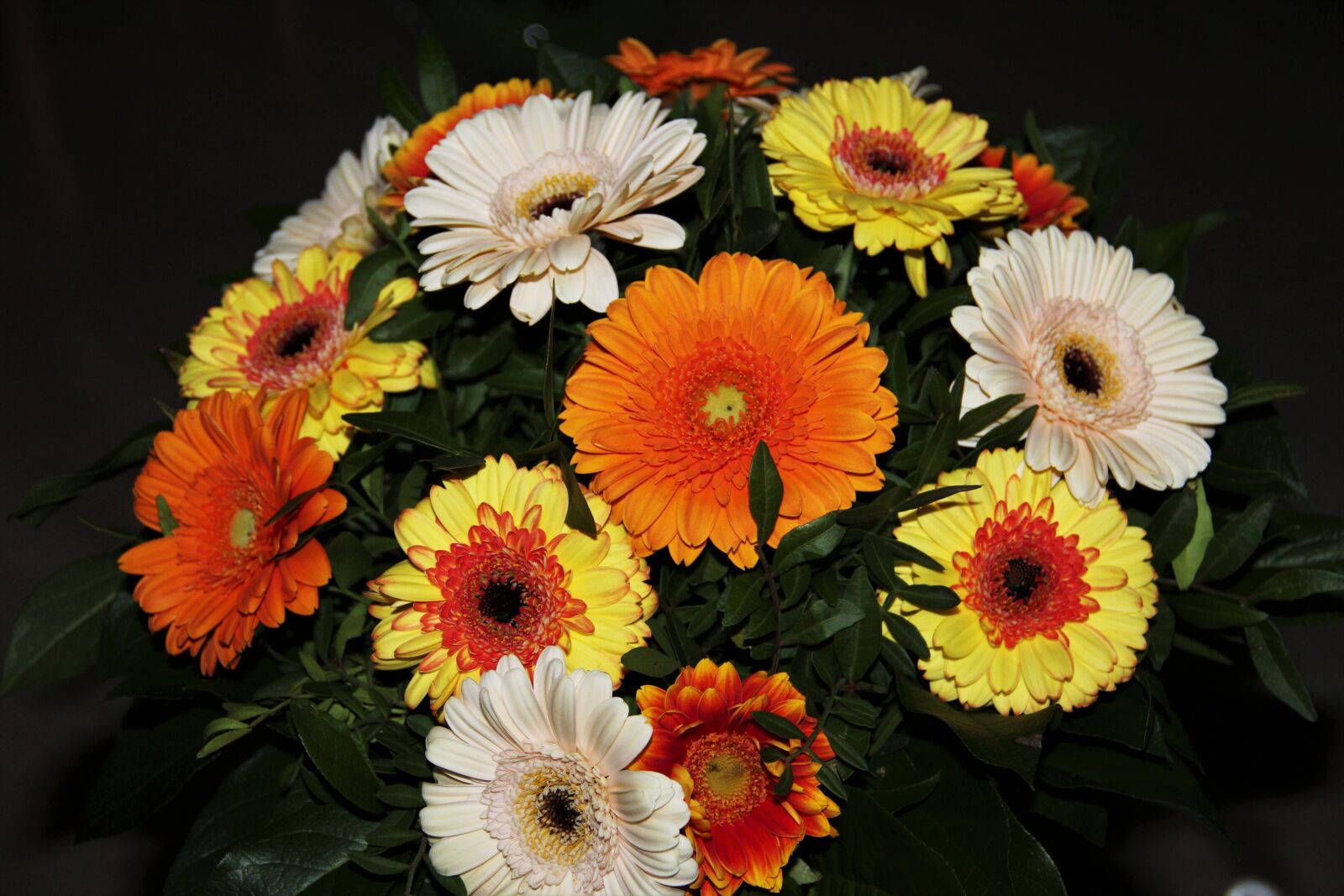 Canon EOS 550D (EOS Rebel T2i / EOS Kiss X4) sample photo. Autumn flowers, gerbera, bouquet photography