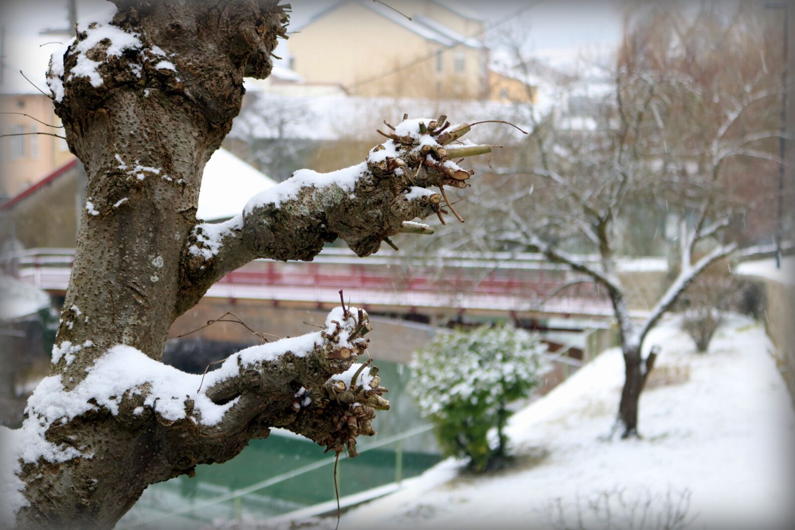 Canon EOS 750D (EOS Rebel T6i / EOS Kiss X8i) sample photo. White, snow, winter photography