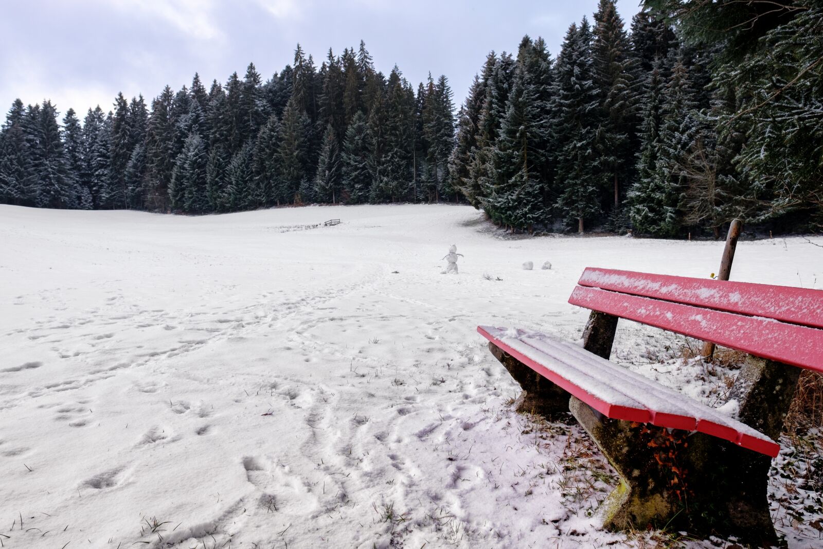 Fujifilm X-T2 + Fujifilm XF 16mm F1.4 R WR sample photo. Winter, snow, bank photography