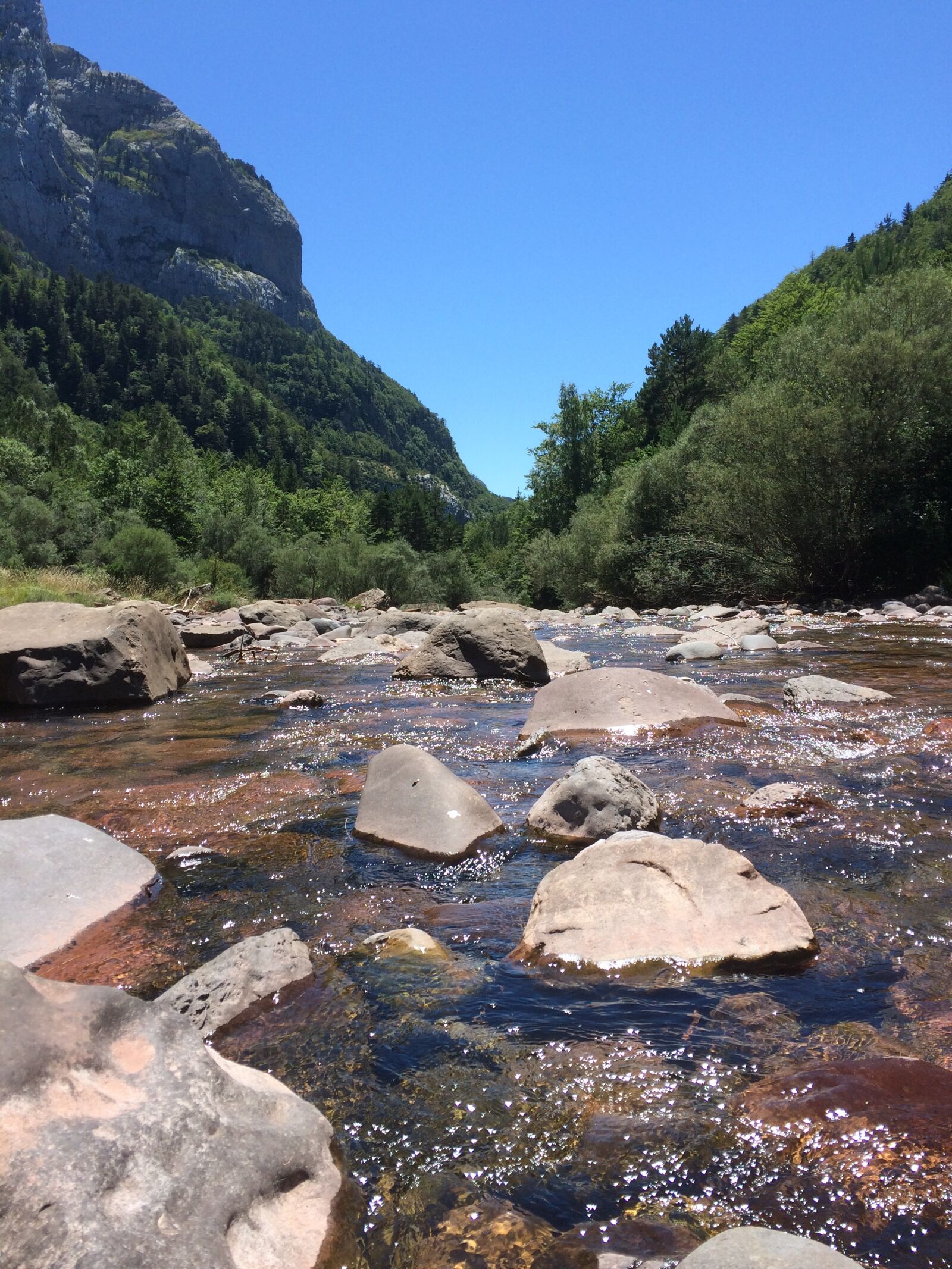 iPhone 5s back camera 4.15mm f/2.2 sample photo. Nature, path, water photography