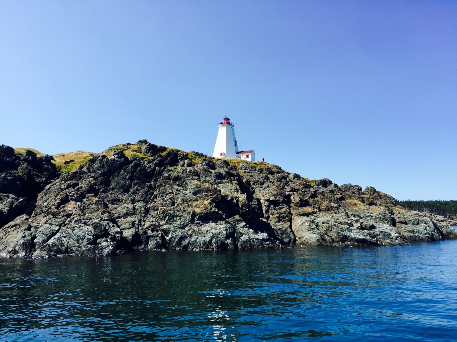 iPhone 6 Plus back camera 4.15mm f/2.2 sample photo. Swallowtail, grand manan, ocean photography